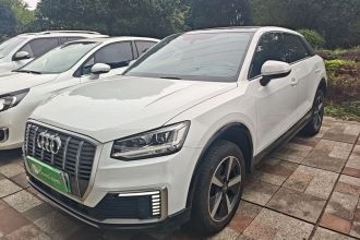 奥迪Q2L e-tron 2019款 Q2L e-tron 纯电智享型