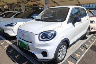 零跑汽车 零跑T03 2022款 玛瑙版