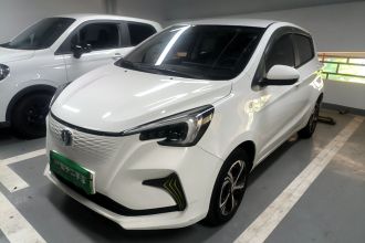 长安 奔奔E-Star 2020款 心动版 三元锂