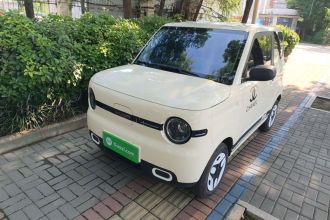吉利银河 2025款 熊猫mini 210km 元气熊