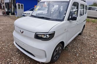 五菱汽车 五菱之光新能源 2025款 305km 进取型