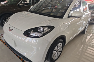 五菱汽车 五菱缤果 2023款 333km 快享款