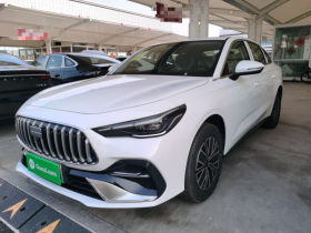 吉利银河 银河星耀6 2026款 125km自在版