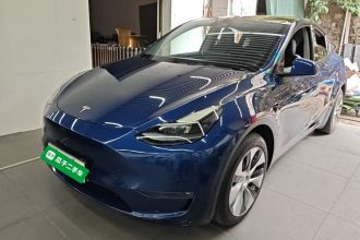 特斯拉 Model Y 2021款 长续航全轮驱动版