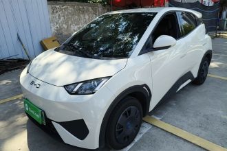 比亚迪 海鸥 2025款 智驾版 305km 活力版