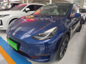 特斯拉 Model Y 2022款 Performance高性能全轮驱动版