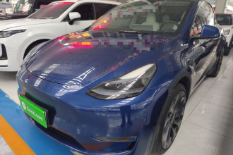 特斯拉 Model Y 2022款 Performance高性能全轮驱动版