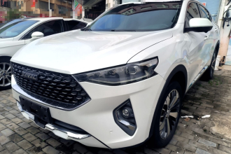 哈弗F7x 2019款 1.5T 两驱极智科技版