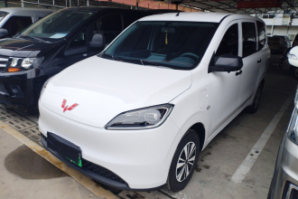 五菱汽车 五菱宏光新能源 2024款 纯电版 300KM 实用型