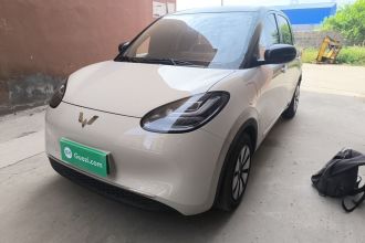 五菱汽车 五菱缤果 2024款 333km 悦享款