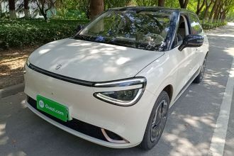 东风纳米 纳米01 2025款 330 青春版