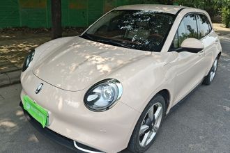 欧拉好猫 2023款 401km标准续航 豪华型 磷酸铁锂
