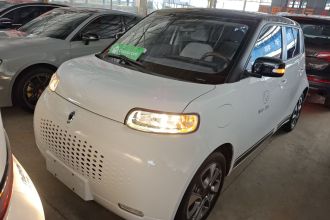 欧拉白猫 2020款 305km 豪华型