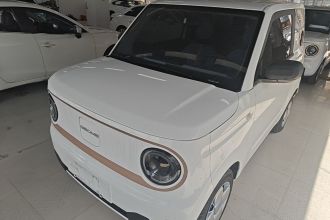 吉利银河 2024款 熊猫mini 200km 耐力熊