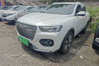 哈弗H6 2021款 1.5T 自动冠军版