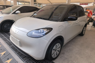 五菱汽车 五菱缤果 2024款 203km 轻享款