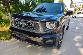 哈弗大狗 PLUS 2023款 2.0T 四驱潮野Plus