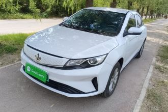 睿蓝汽车 枫叶60s 2024款 幸福定制 整车 出租车专用版