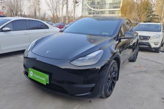 特斯拉 Model Y 2021款 改款二 长续航全轮驱动版
