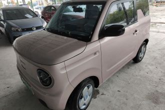 吉利银河 2023款 熊猫mini 200km 耐力熊