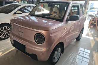 吉利银河 2023款 熊猫mini 200km 耐力熊