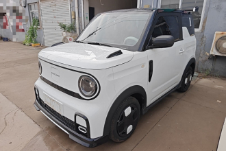 吉利银河 2025款 210km 熊猫卡丁