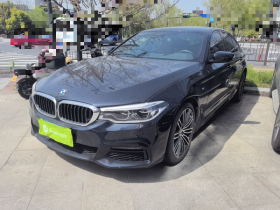 宝马5系(进口) 2019款 530i M运动套装
