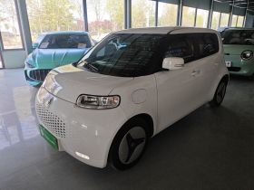 欧拉白猫 2020款 360km 标准型