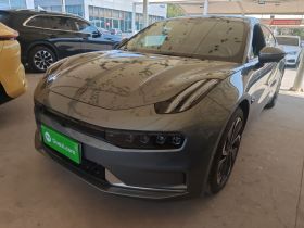 极氪001 2021款 超长续航双电机 YOU版