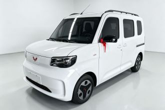 五菱汽车 五菱之光新能源 2025款 305km 进取型