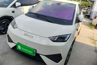 比亚迪 海鸥 2025款 智驾版 305km 自由版