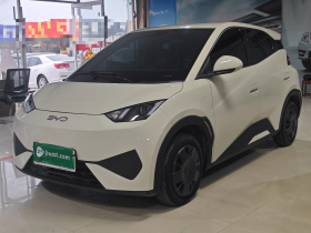 比亚迪 海鸥 2025款 305km 活力版