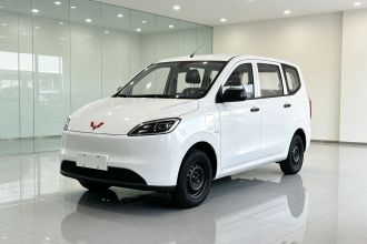 五菱汽车 五菱宏光新能源 2024款 纯电版 300KM 实用型