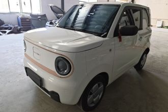 吉利银河 2024款 熊猫mini 200km 耐力熊