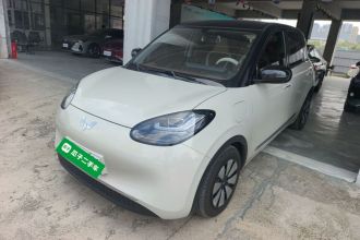 五菱汽车 五菱缤果 2024款 333km 悦享款