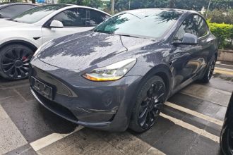 特斯拉 Model Y 2022款 Performance高性能全轮驱动版