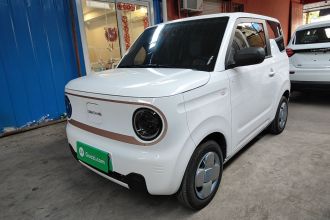 吉利银河 2024款 熊猫mini 200km 耐力熊