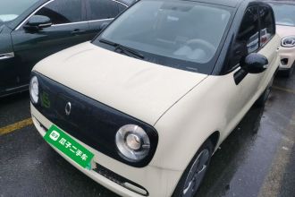 欧拉黑猫 2021款 301km 基础型