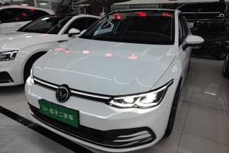 大众 高尔夫 2023款 280TSI DSG Pro