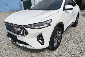 哈弗F7x 2021款 1.5T 两驱极智科技版