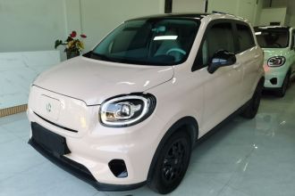 零跑汽车 零跑T03 2023款 310轻享版