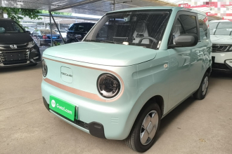吉利银河 2023款 熊猫mini 200km 耐力熊