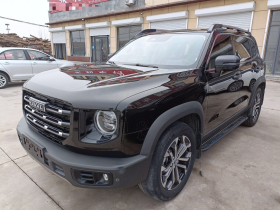 哈弗大狗 2021款 1.5T DCT两驱边牧-旺财版