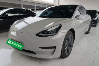 特斯拉 Model 3 2020款 标准续航后驱升级版