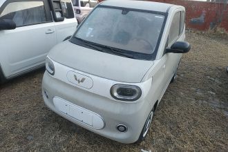 五菱汽车 宏光MINIEV 2024款 第三代 215km 青春版