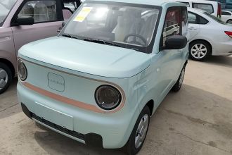 吉利银河 2024款 熊猫mini 200km 耐力熊