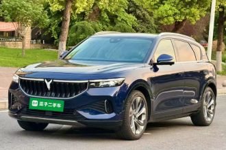 岚图汽车 岚图FREE 2021款 四驱增程首发纪念版专属豪华套装