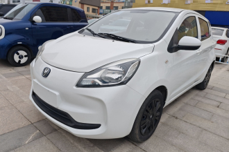 长安 奔奔E-Star 2021款 国民版 心怡版（快充版）磷酸铁锂（31.95kWh）