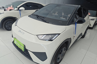 比亚迪 海鸥 2025款 智驾版 305km 活力版