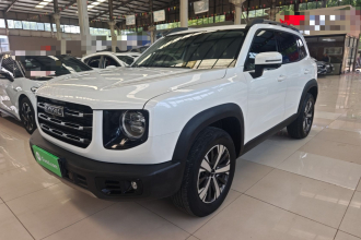 哈弗大狗 2022款 1.5T DCT两驱拉布拉多版